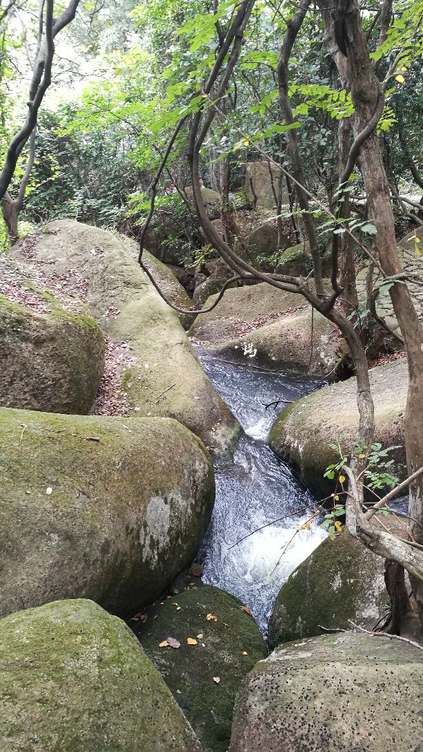 慈溪慈溪五磊山景区好玩吗,慈溪慈溪五磊山景区景点样