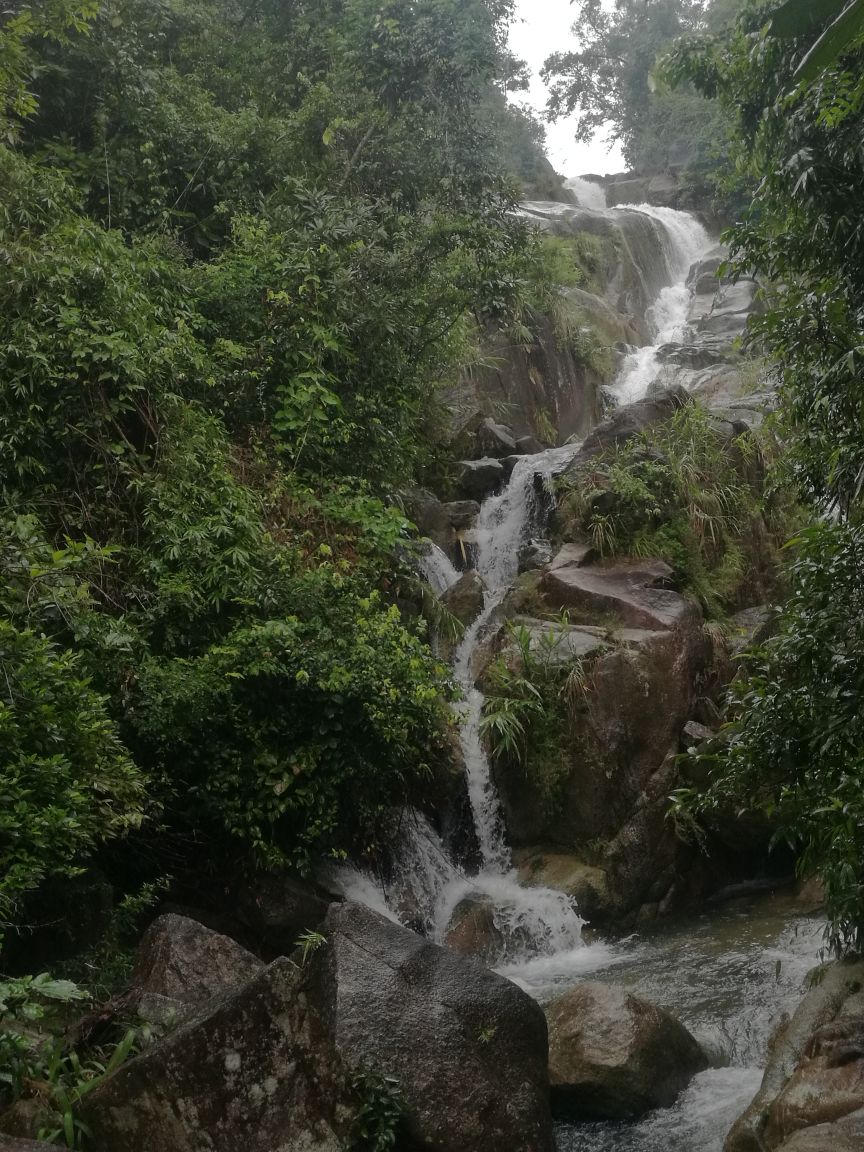 东兴东兴屏峰雨林公园好玩吗,东兴东兴屏峰雨林公园样