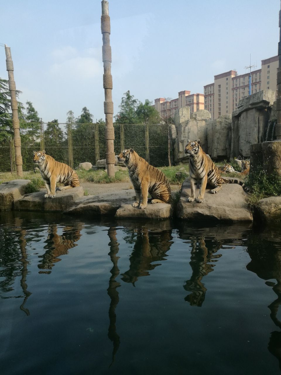 上海野生动物园