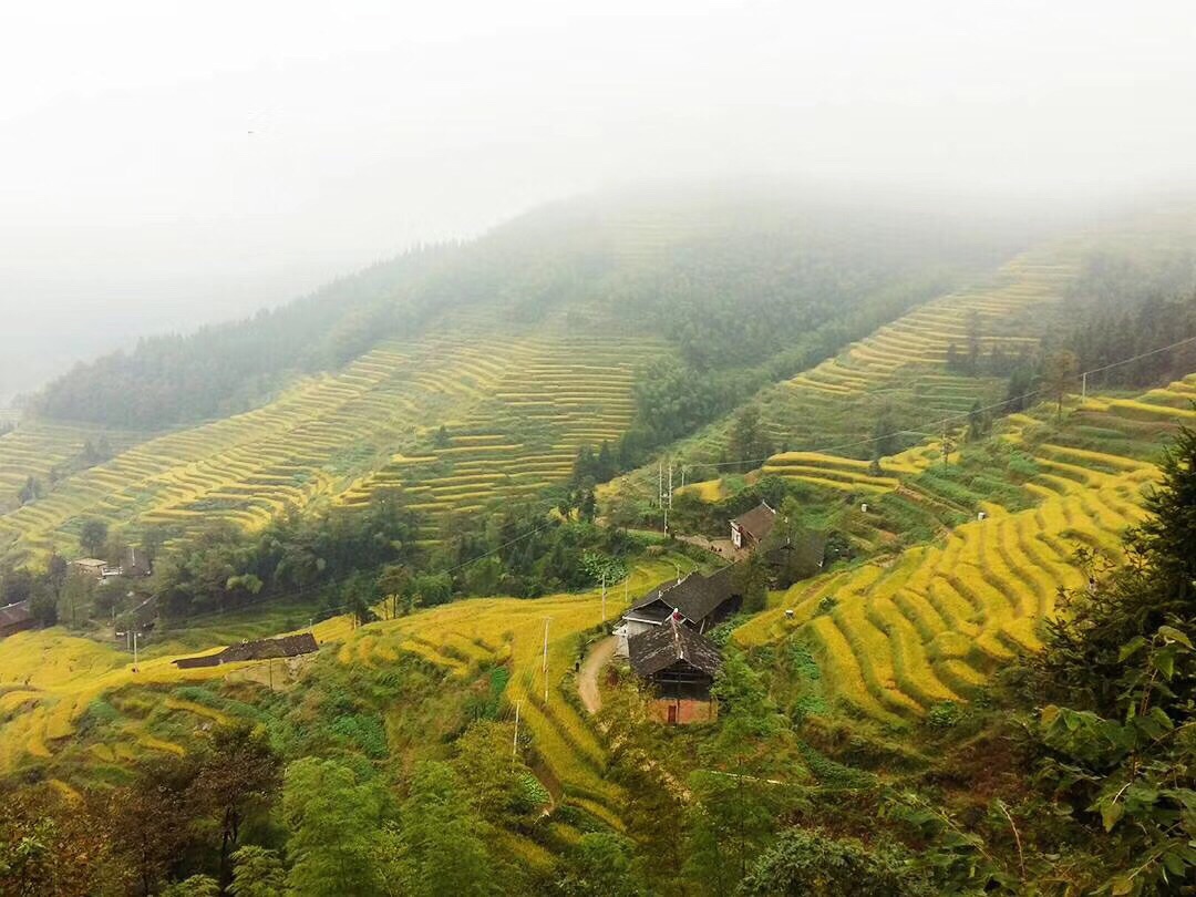 紫鹊界梯田是国家aaaa旅游景区,国家级风景名胜区,国家自然与文化双