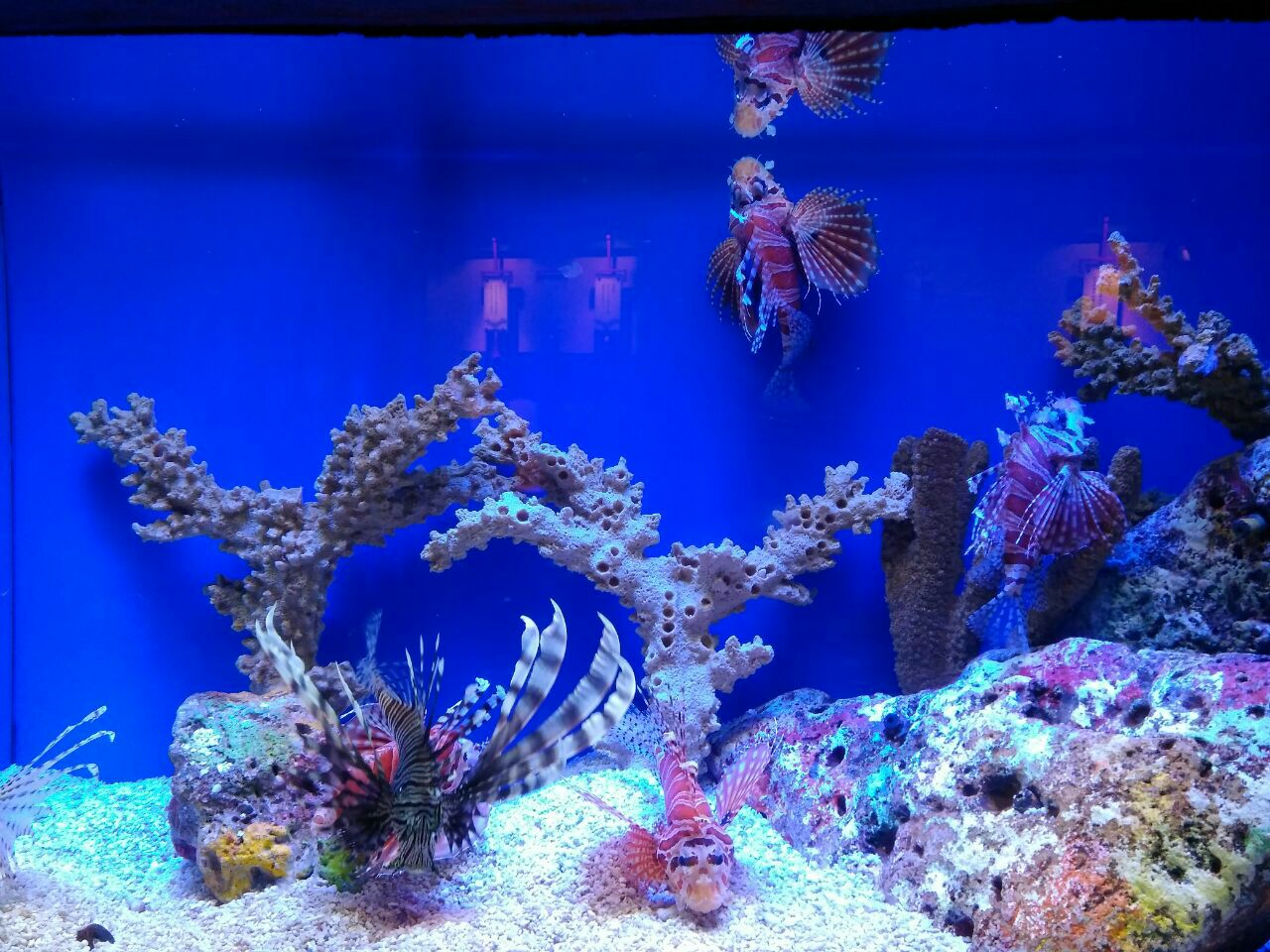 上海海洋水族馆