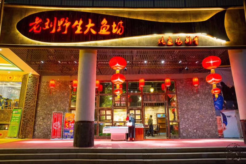 2019老刘野生大鱼坊(西乡店)美食餐厅,东北菜食唔少,.