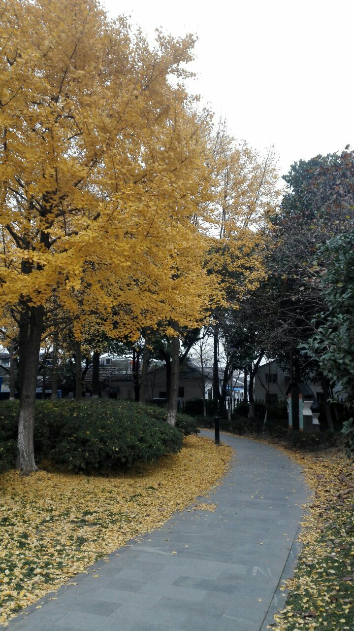 广济公园