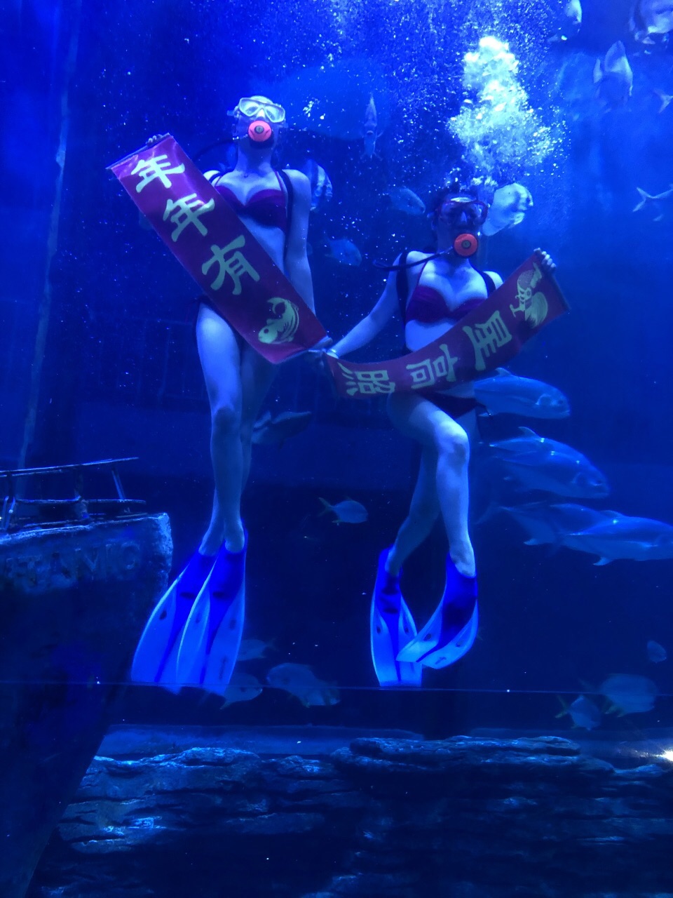北海北海海底世界好玩吗,北海北海海底世界景点怎么样