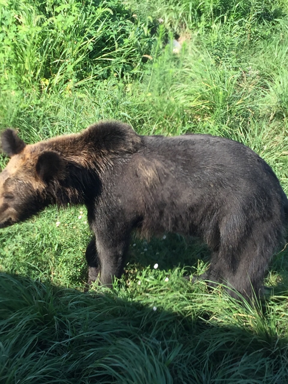 上海野生动物园