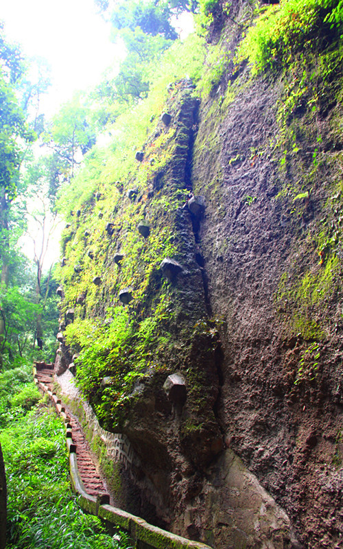 那一年"川"梭中的回忆:足迹四川青城山—四川青城山前山后山,老君阁