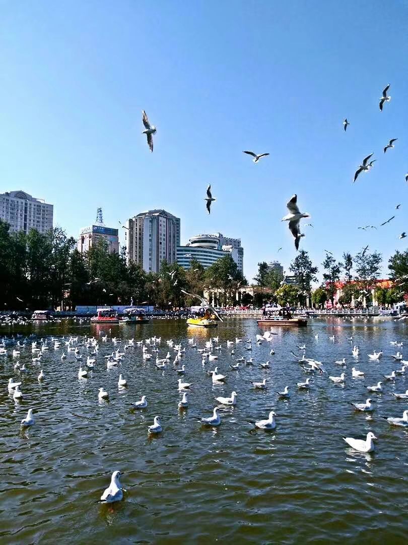 昆明市区景点 携程网