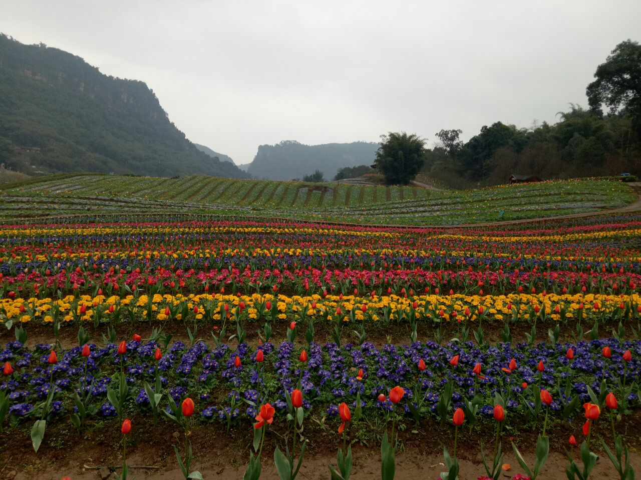 清溪谷旅游区花田酒地景区