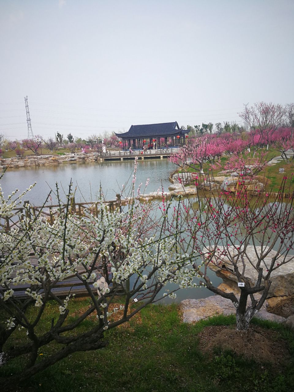 盐城梅花湾好玩吗,盐城梅花湾景点怎么样_点评_评价