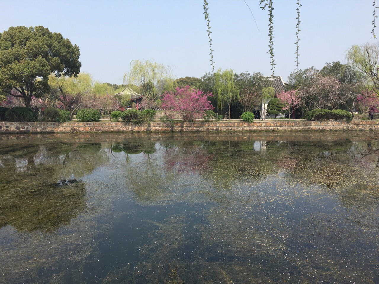 首推蠡园沿水边的长堤,一棵柳树一棵桃树红绿间隔,在春风的吹拂下别有