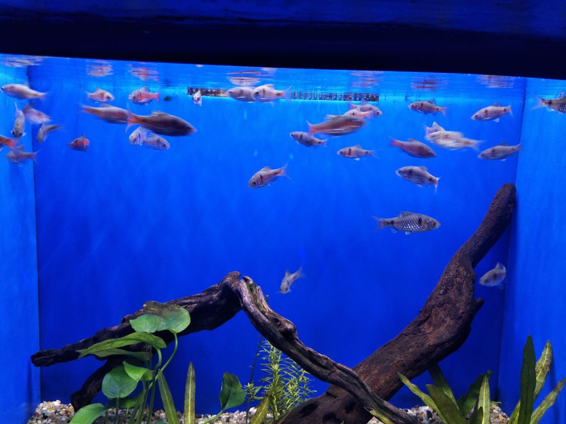 上海海洋水族馆