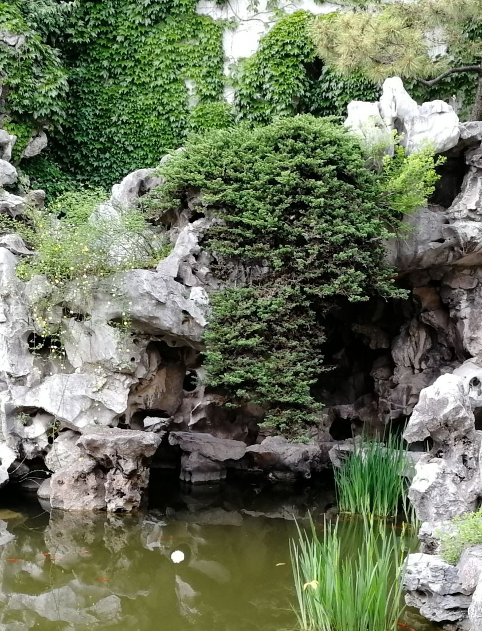 扬州片石山房好玩吗,扬州片石山房景点怎么样_点评_评价【携程攻略】