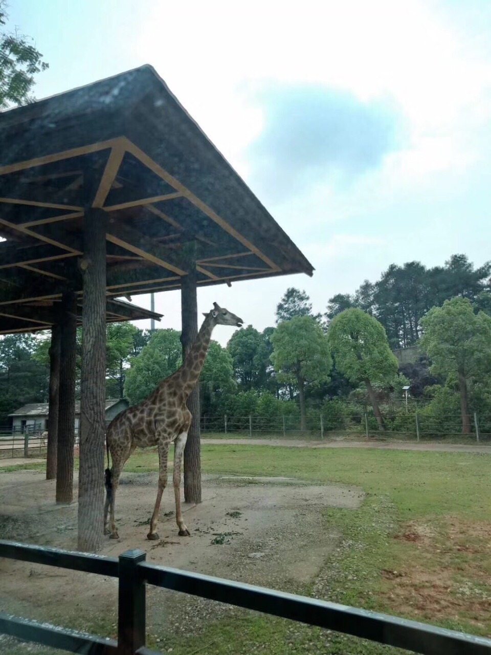 长沙生态动物园