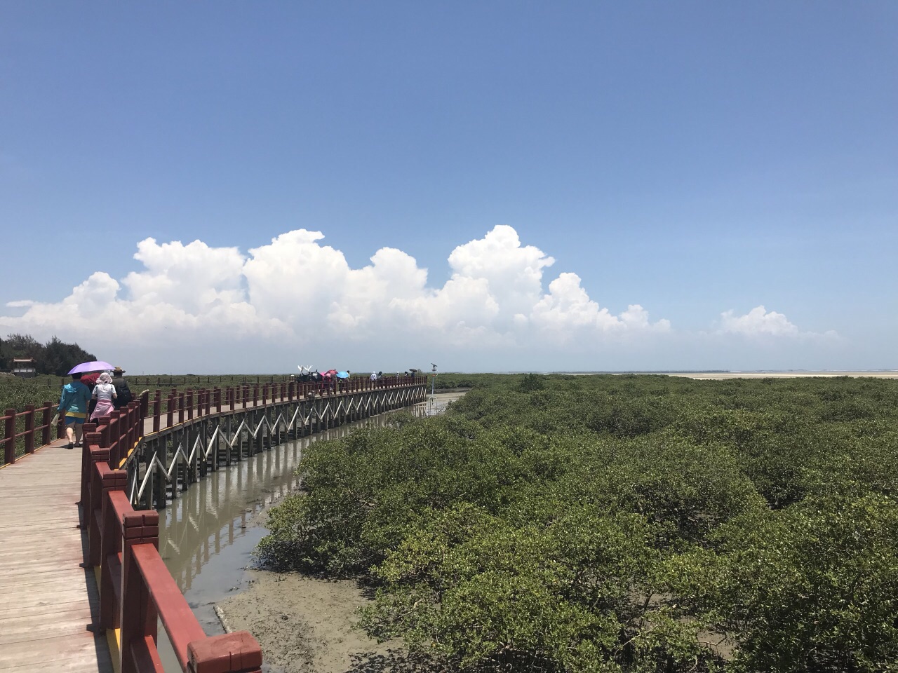 北海金海湾红树林生态旅游区