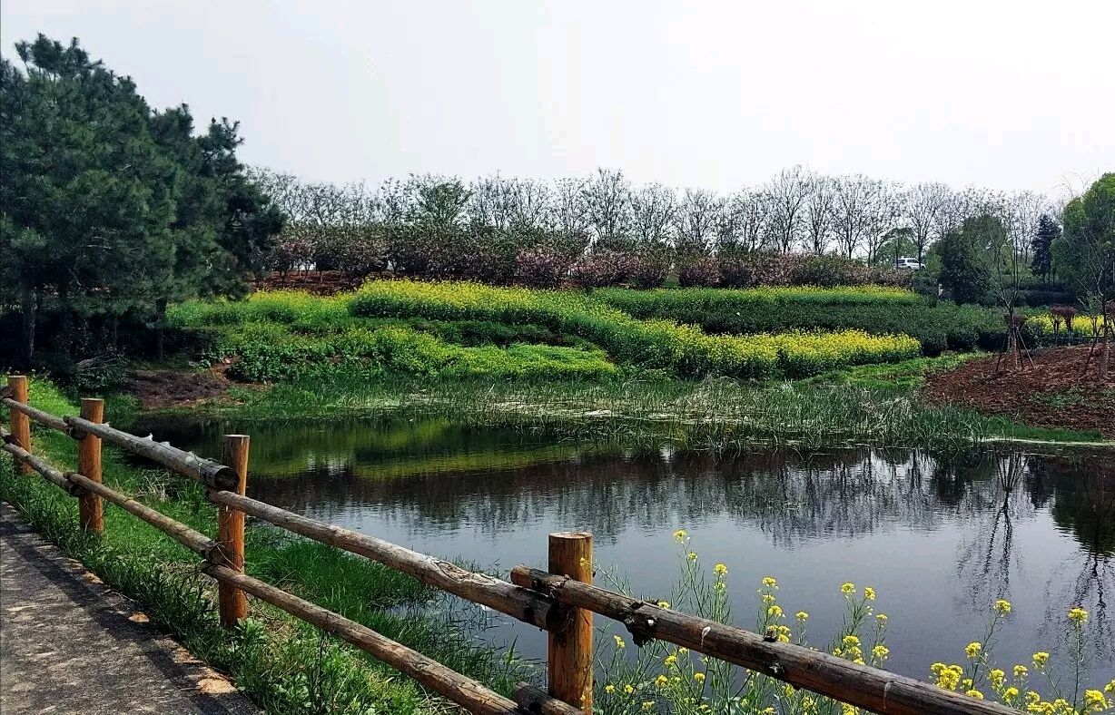 南京高淳国际慢城好玩吗,南京高淳国际慢城景点怎么样