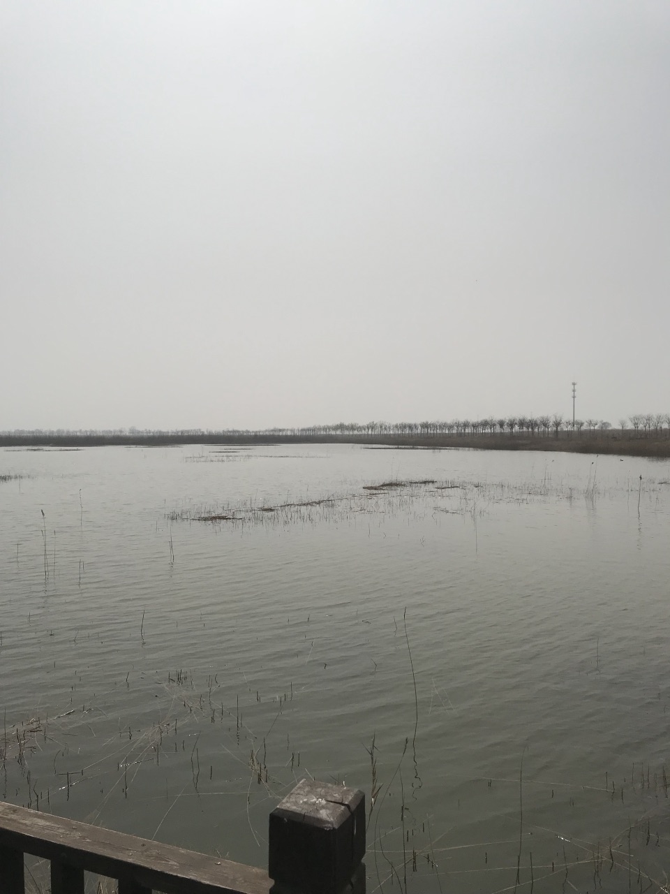 黄骅南大港湿地好玩吗,黄骅南大港湿地景点怎么样