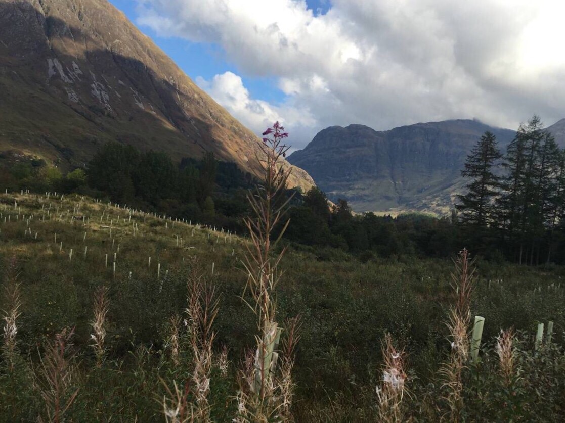 本尼维斯山