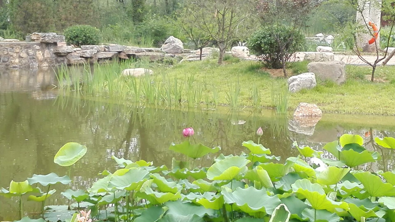 章丘区济南植物园好玩吗,章丘区济南植物园景点怎么样