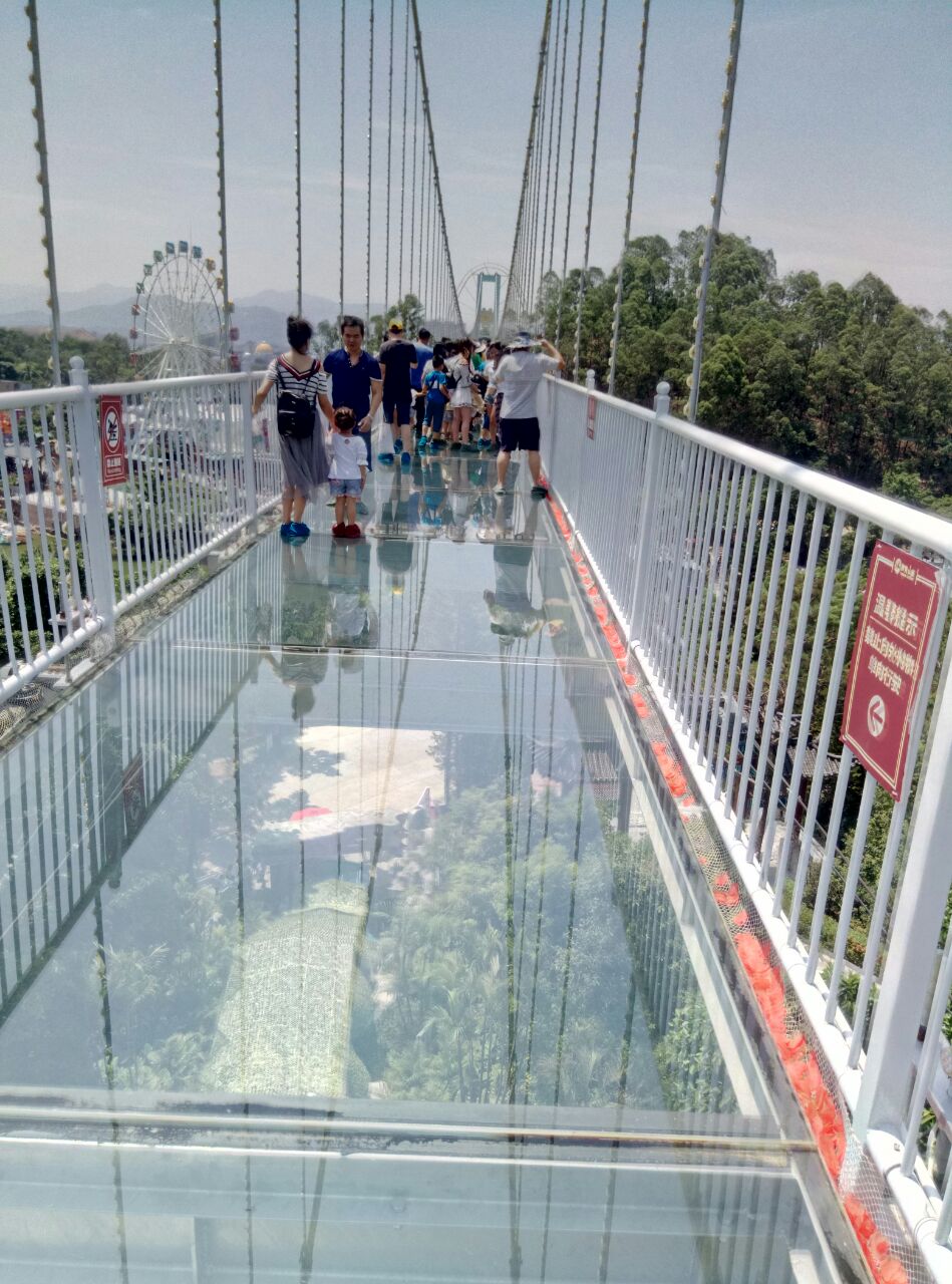 玻璃桥是成行的主要项目,有点刺激;动物园还可以,有动物表演;里面可