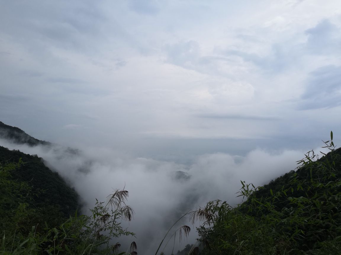 东天目山景区