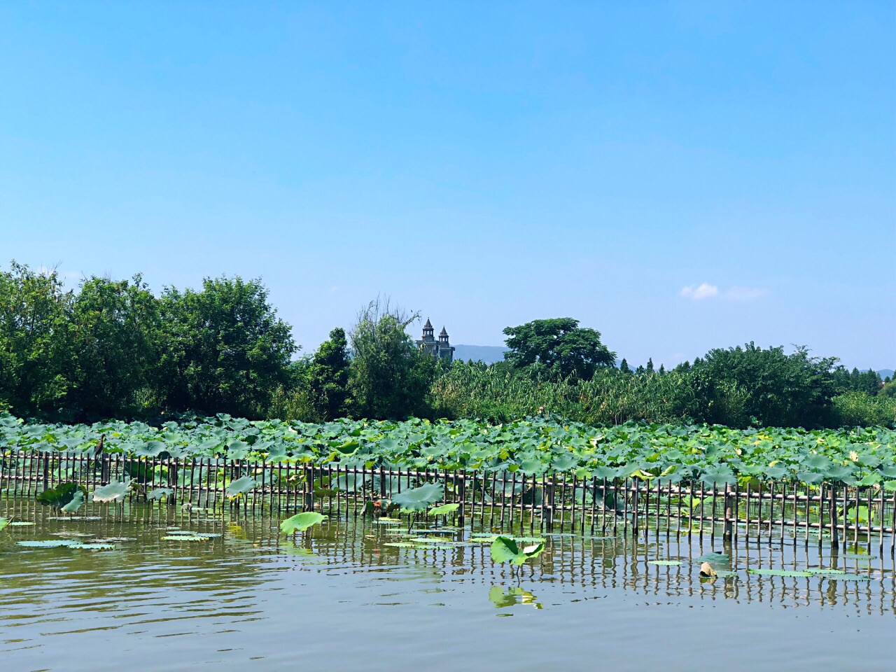 德清下渚湖湿地公园