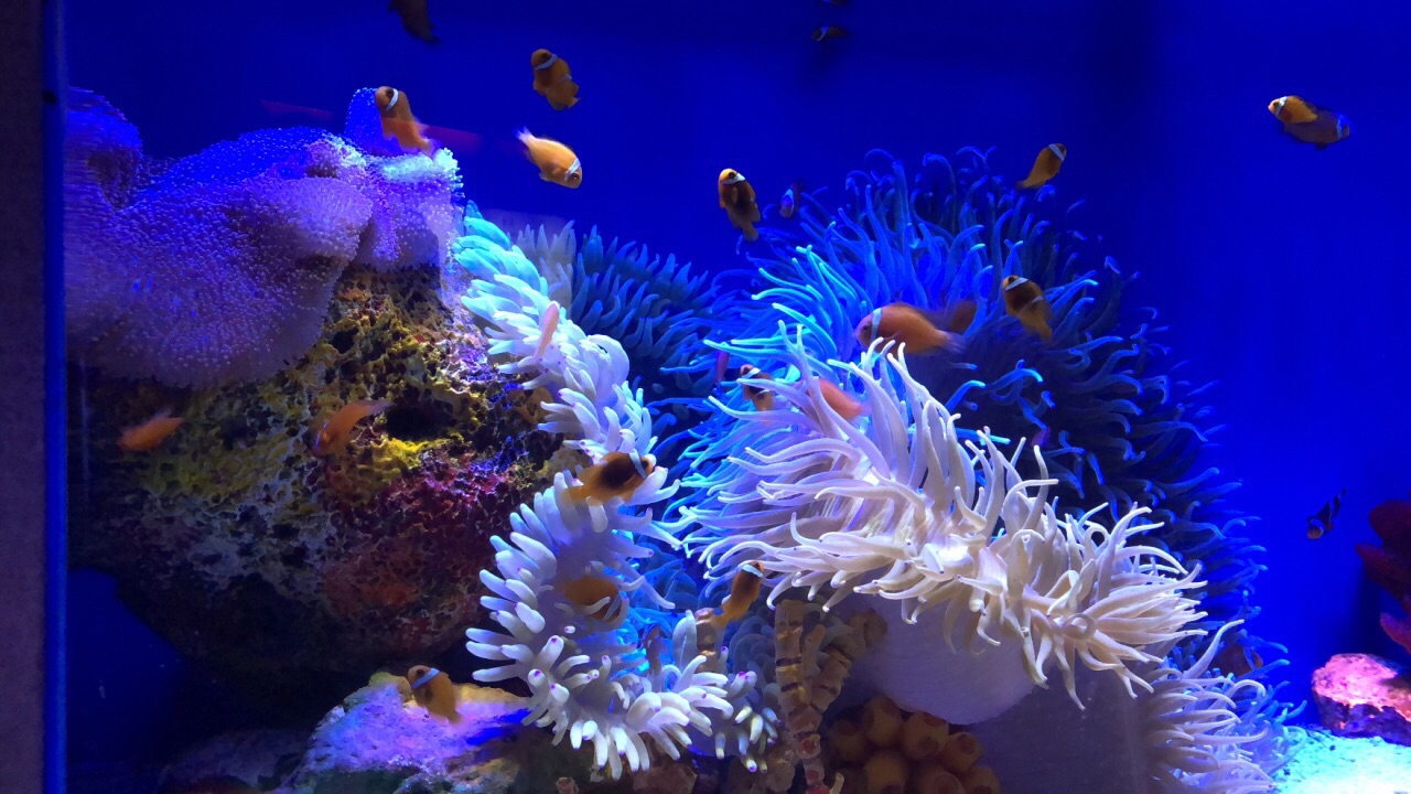 上海海洋水族馆