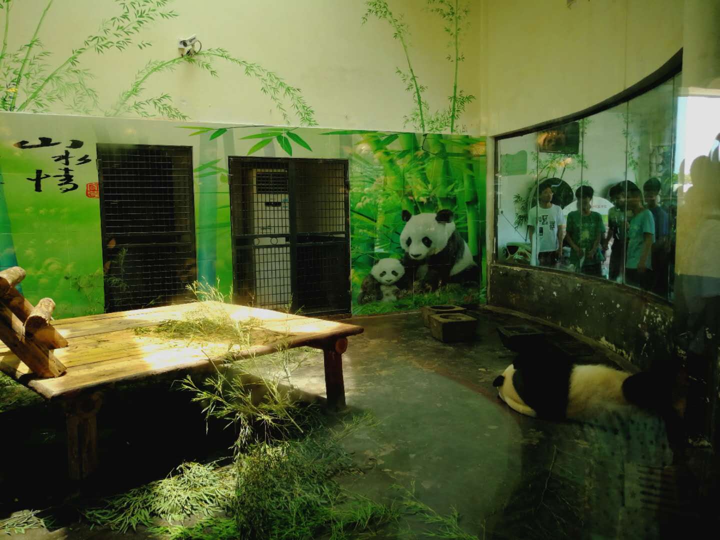 长沙生态动物园旅游景点攻略图