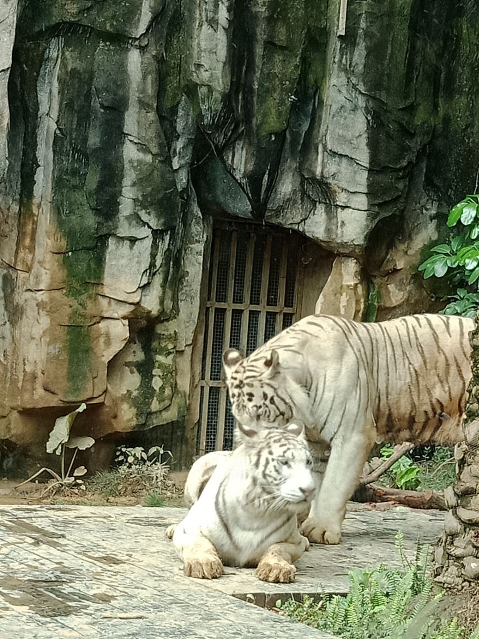 南宁动物园
