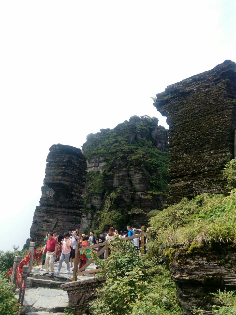 2019梵净山_旅游攻略_门票_地址_游记点评,铜仁旅游景点推荐 - 去哪儿