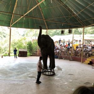 碧峰峡野生动物园旅游景点攻略图