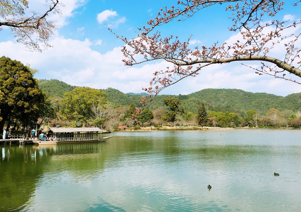 除了大觉寺,龙安寺,天龙寺等寺庙,岚山本身的青山绿水,小街小巷都很有