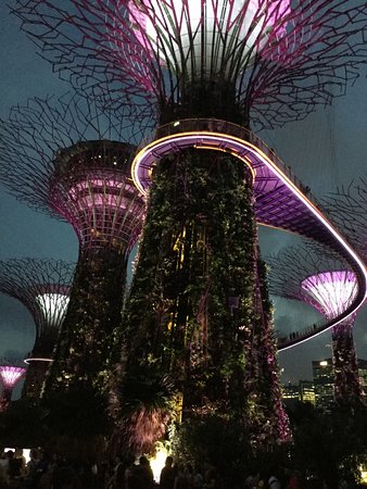 【携程攻略】新加坡ocbc skyway好玩吗,新加坡ocbc skyway景点怎么样