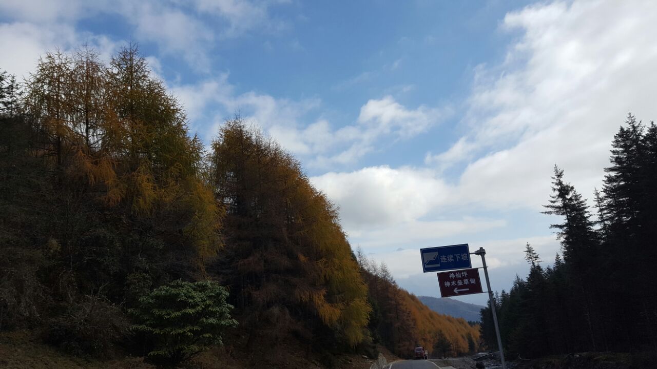 宝兴神木垒好玩吗,宝兴神木垒景点怎么样_点评_评价