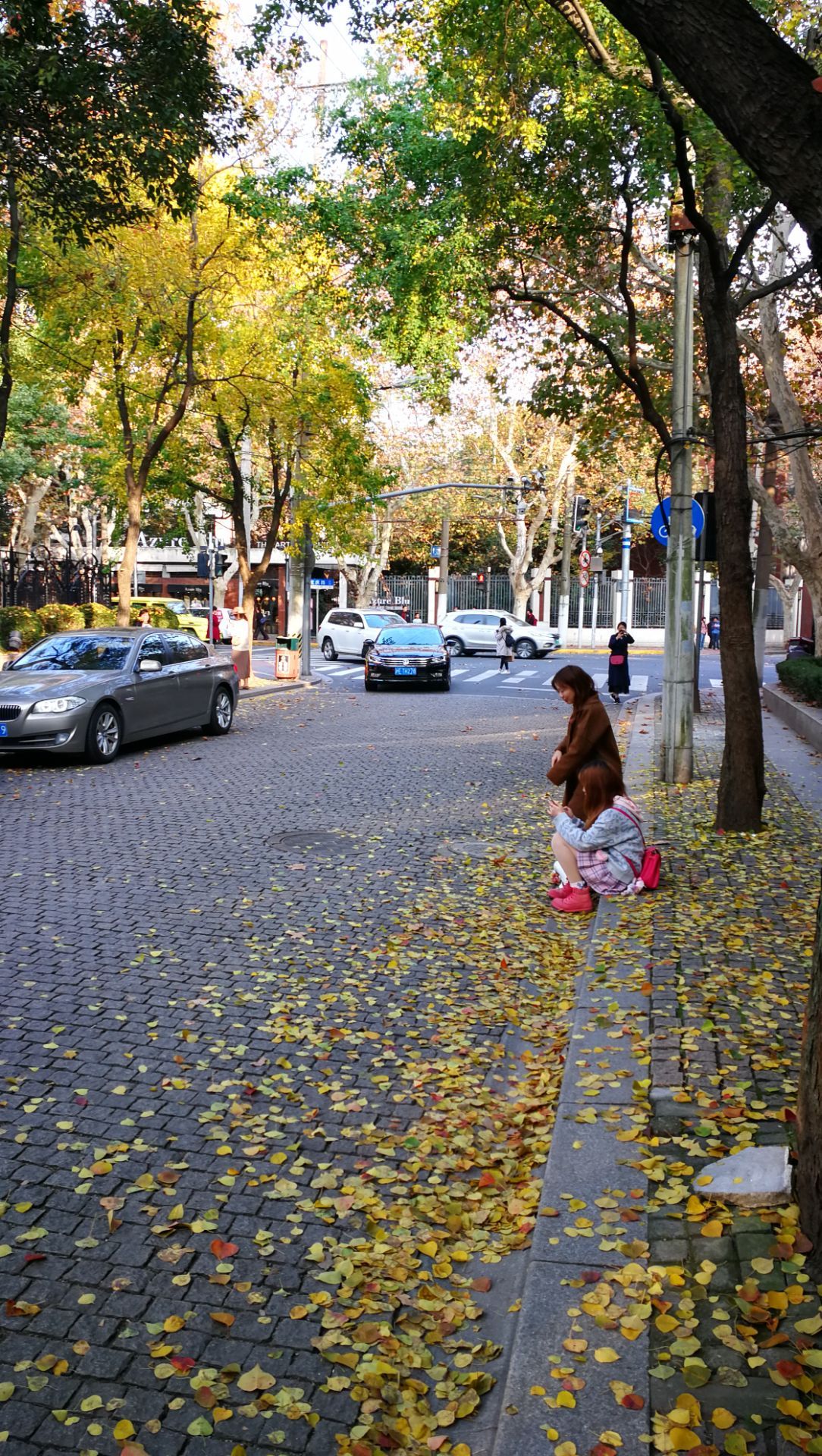 桃江路