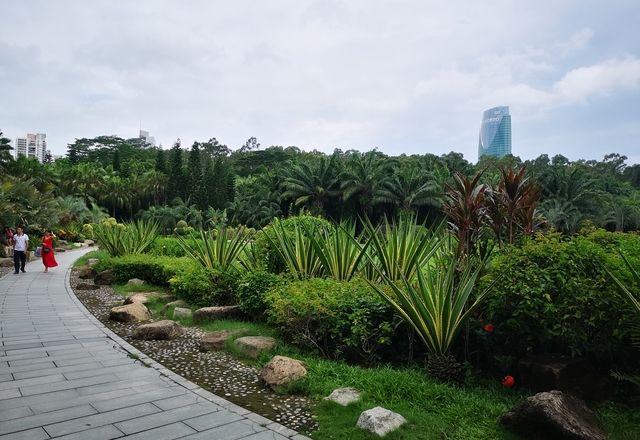 莲花山公园旅游景点攻略图