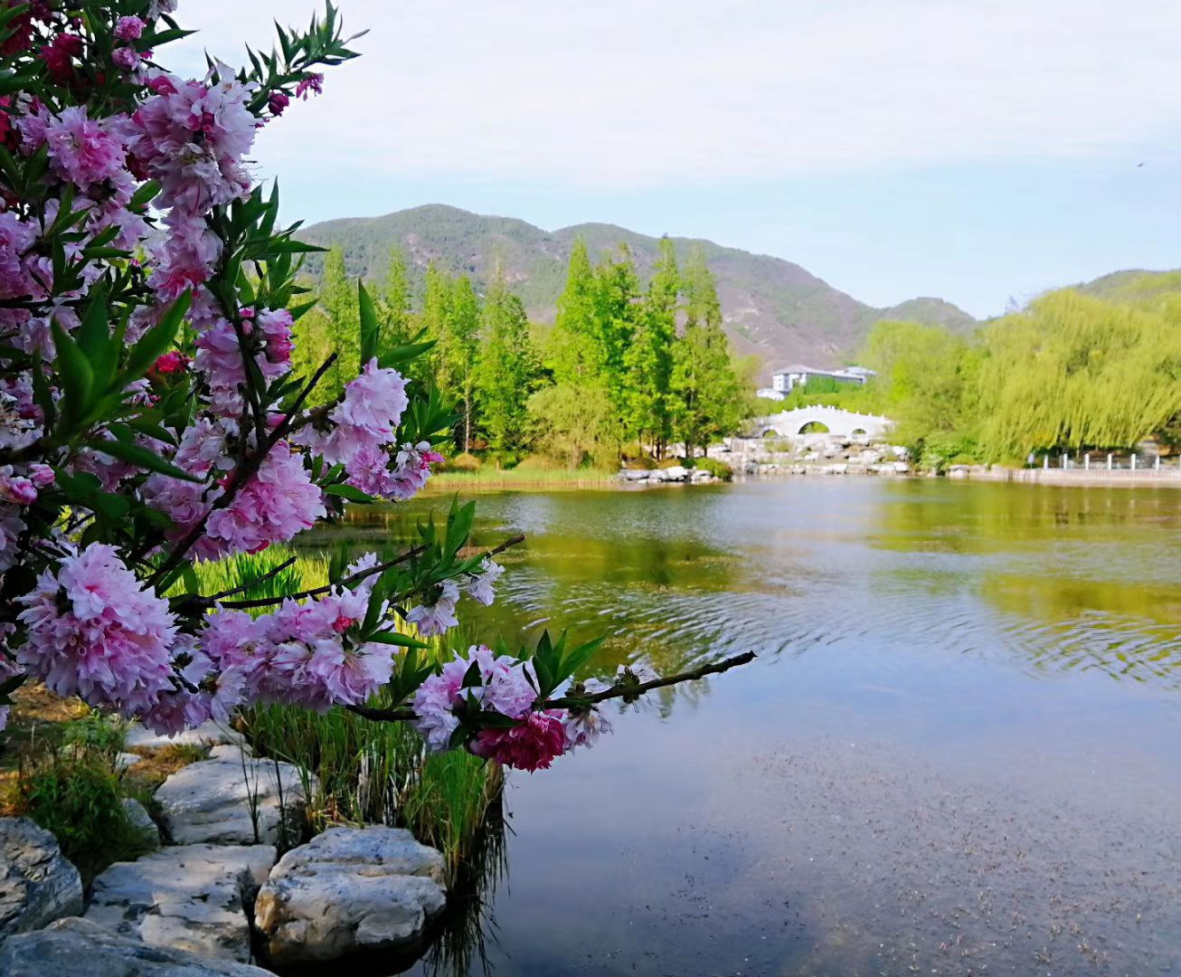 桃花源度假村旅游景点攻略图