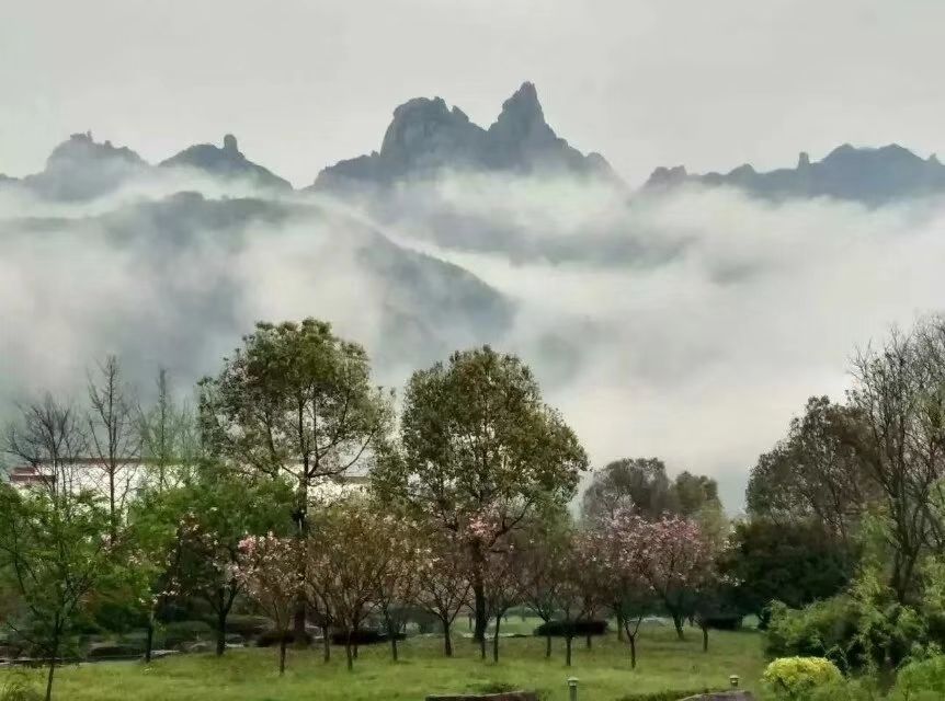 莲峰云海景区