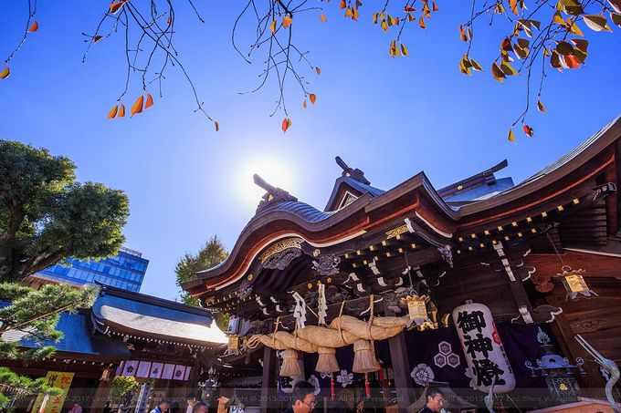 2020栉田神社-旅游攻略-门票-地址-问答-游记点评,福冈旅游旅游景点