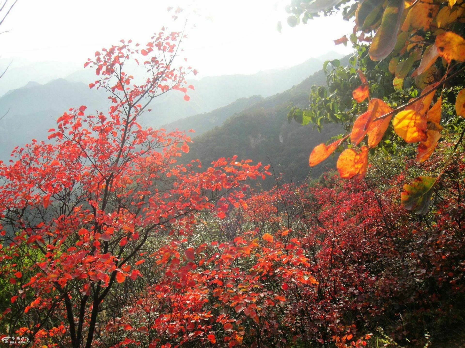 【携程攻略】平定红岩岭自然风景区景点,今年新修的路,畅通无阻.