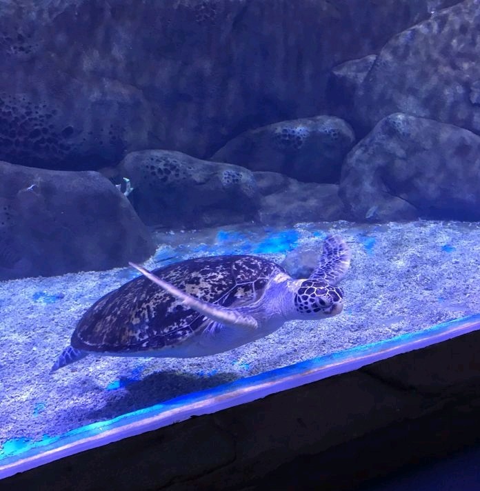 大理海洋世界