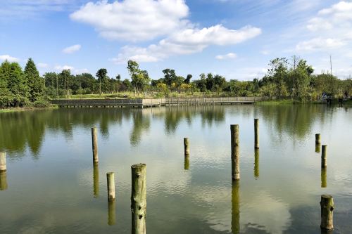 成都青龙湖湿地公园-观景台攻略-青龙湖湿地公园-观景