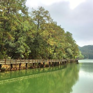 梅子湖栈道