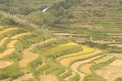 麻江乌羊麻生态旅游风景区攻略-乌羊麻生态旅游风景区