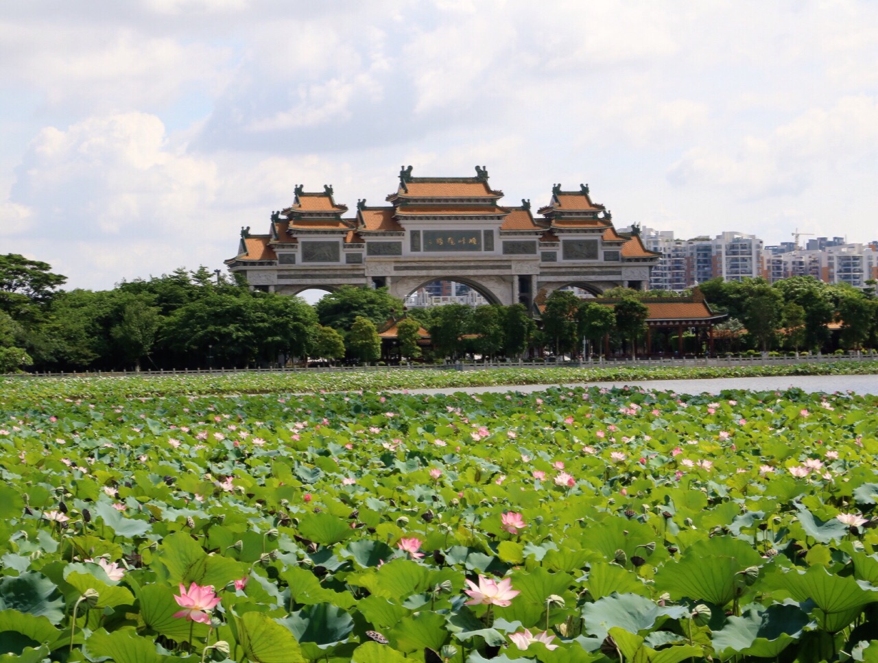 顺峰山公园,顺德"新十景"之一,具有中华第一牌坊的美誉,规模大,造型