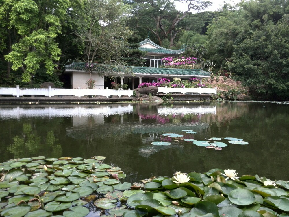 厦门园林植物园旅游景点攻略图