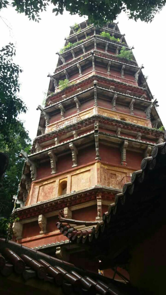 2019宝通禅寺_旅游攻略_门票_地址_游记点评,武汉旅游