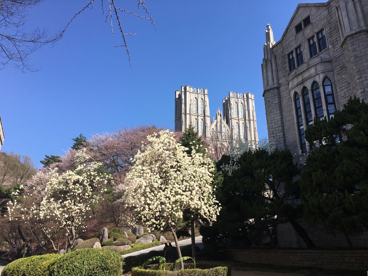 庆熙大学