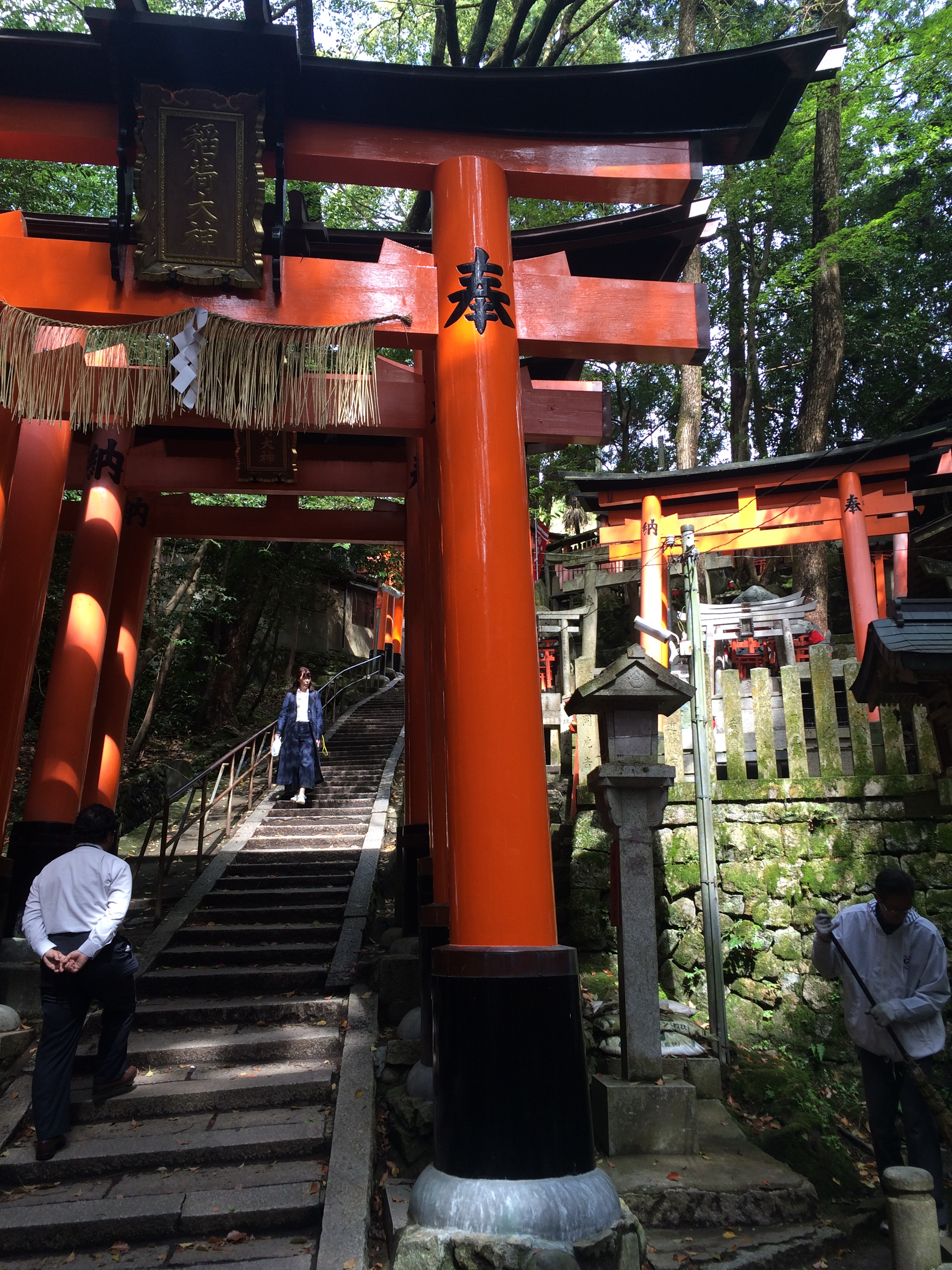 千本鸟居