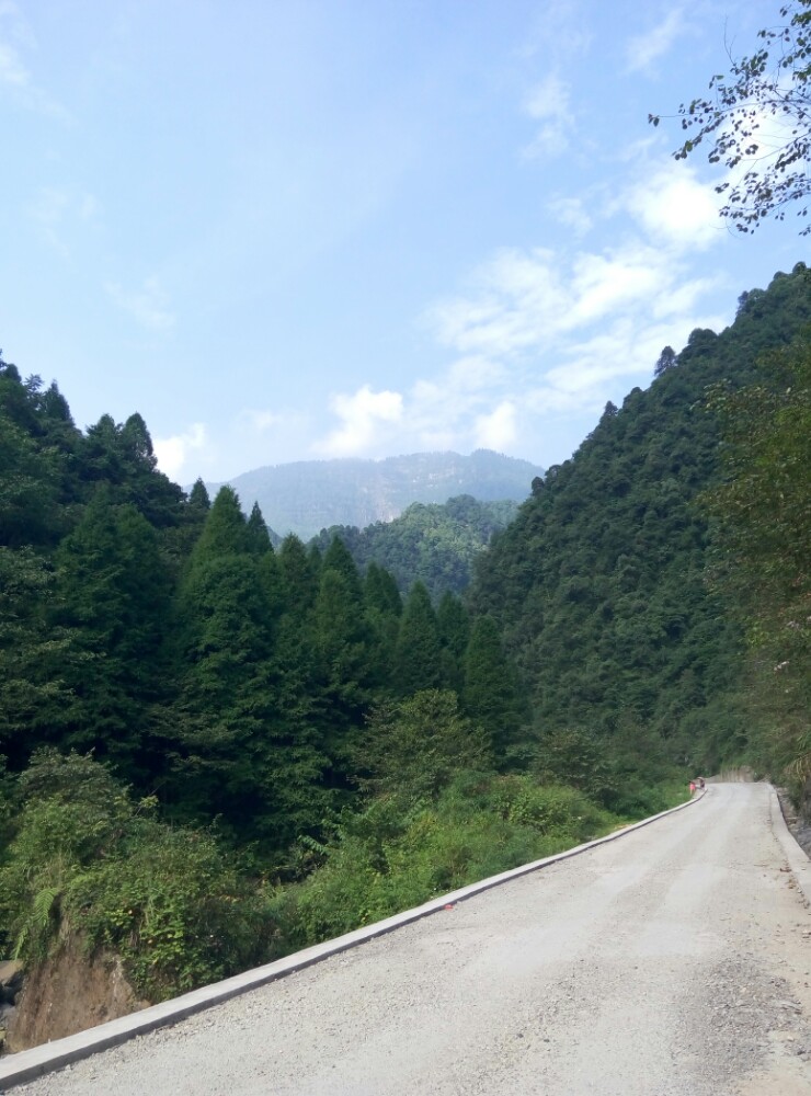 眉山瓦屋山国家森林公园