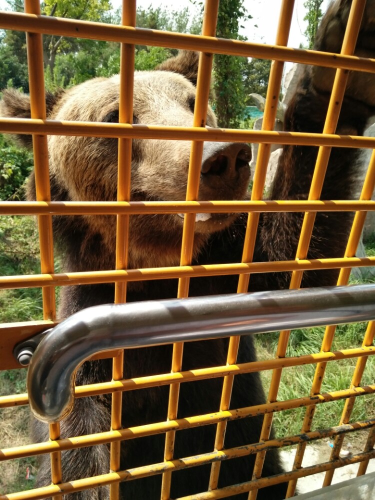 上海野生动物园